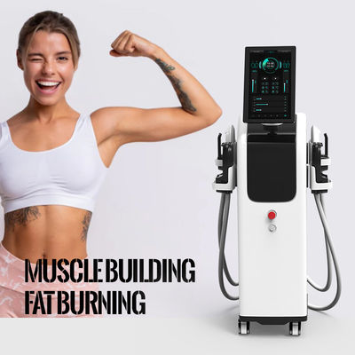 Máquina automática de escultura EMS para la formación de profesionales ABS Modo de trabajo automático
